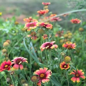 Meet your Posher, Kendyl